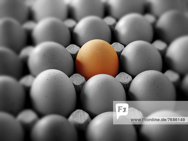 Ein farbiges Ei auf einer schwarz-weißen Palette mit Eiern