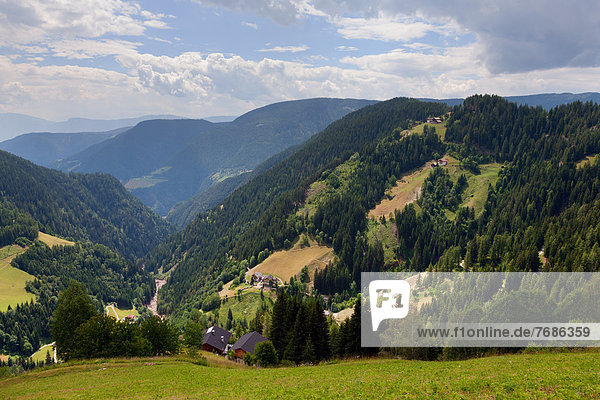 Panoramablick bei Luttach  Ahrntal  Zillertaler Alpen
