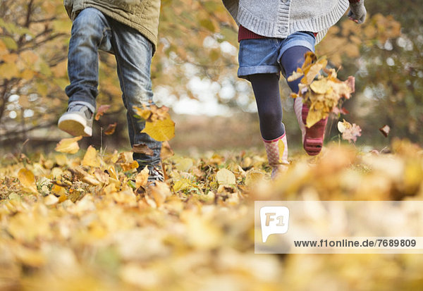 Children walking in autumn leaves