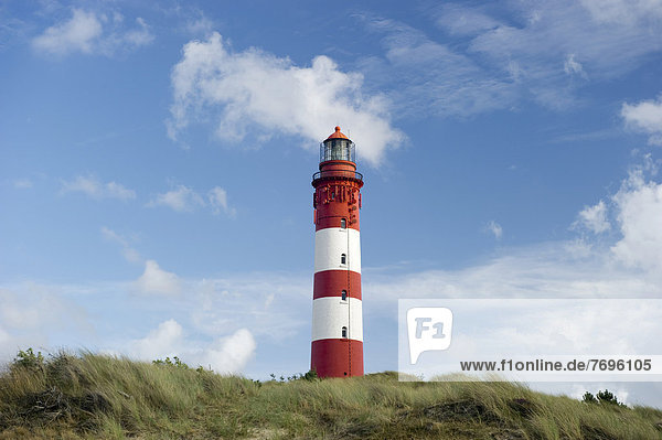 Leuchtturm  Amrum  Nordfriesische Inseln  Schleswig-Holstein  Deutschland  Europa