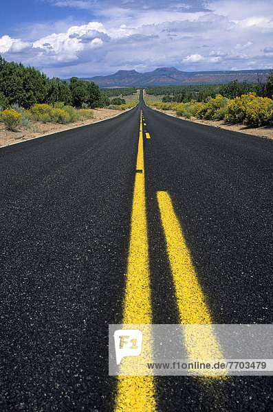 Straße mit gelben Mittelstreifen  Arizona  USA