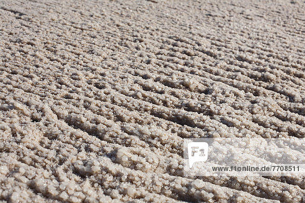 Salzkristalle am Ufer des Toten Meeres  Israel