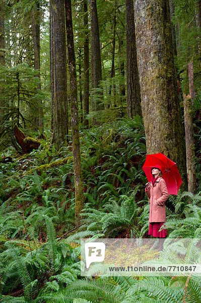 Frau mit Regenschirm beim Waldspaziergang