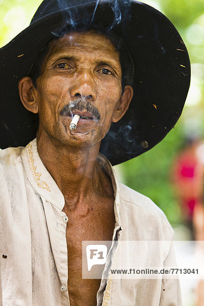 Portrait Pose Würze Abfall Indonesien indonesisch Aasfresser