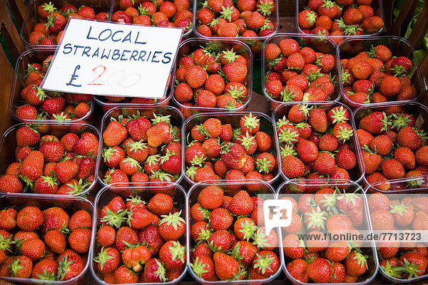 Frische  Erdbeere  verkaufen