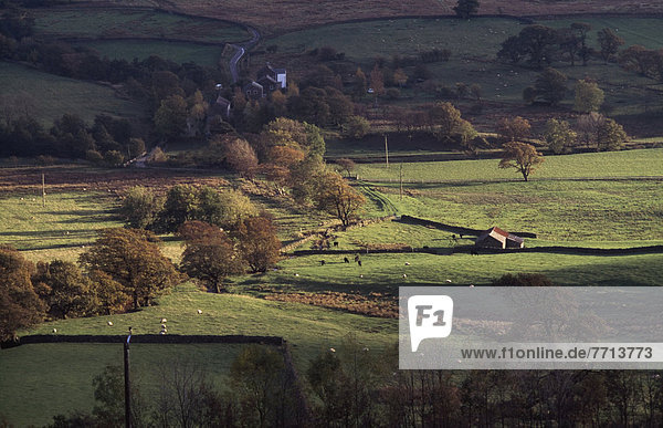 Farm House And Fields In Autumn