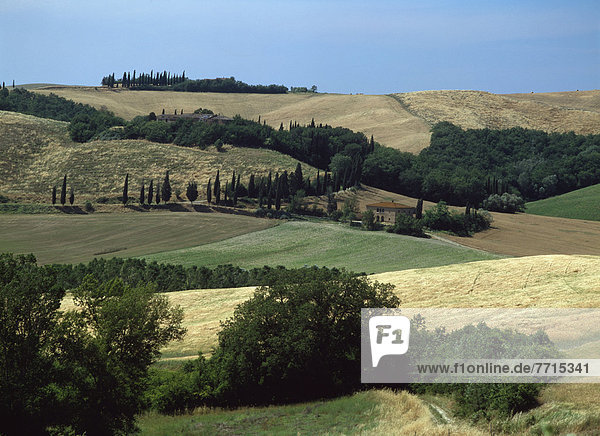 Landschaft