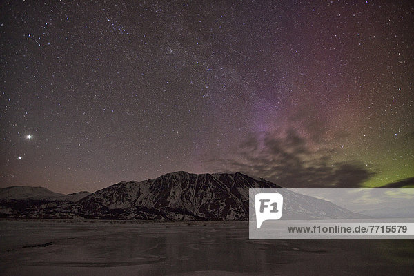 Nationalpark  Berg  über  tanzen  Schaf  Ovis aries  Kluane Nationalpark  Polarlicht  Aurora