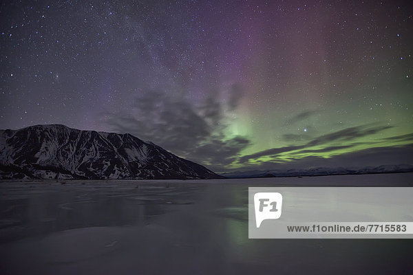 Nationalpark  Berg  über  tanzen  Schaf  Ovis aries  Kluane Nationalpark  Polarlicht  Aurora