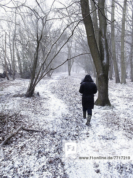 Women Walking In Forest  Winter