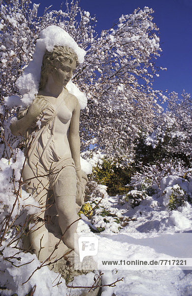 Sculpture Covered In Snow
