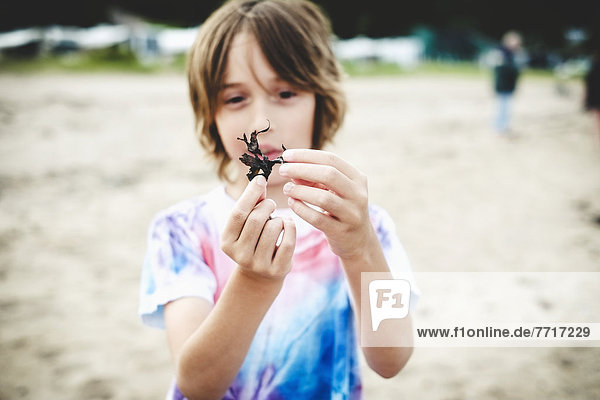 Boy in a tie-dyed t-shirt holding small piece of seaweed on a beach Saint-simeon quebec canada