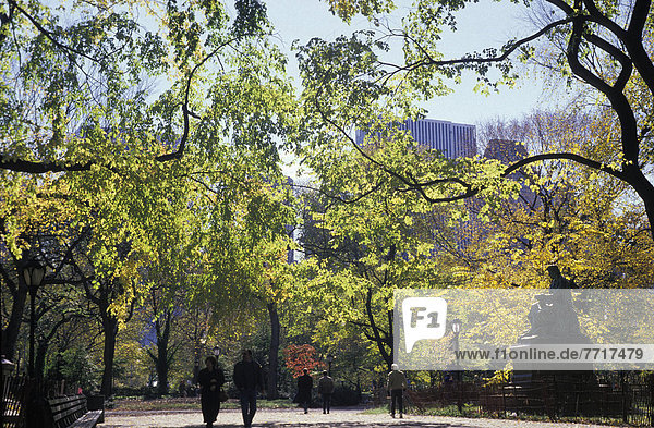 People Walking In Central Park In Autumn