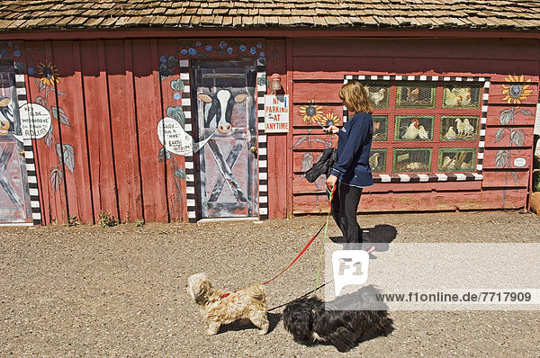 A Woman Walking Two Dogs In Downtown Sedona Arizona Usa