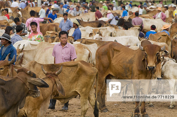 People At Cattle Market