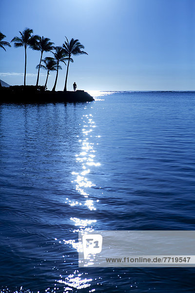Wasser  Morgen  Beleuchtung  Licht  früh  Hawaii  Oahu