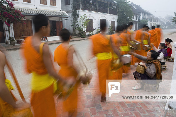 Morgendämmerung sammeln UNESCO-Welterbe Luang Prabang