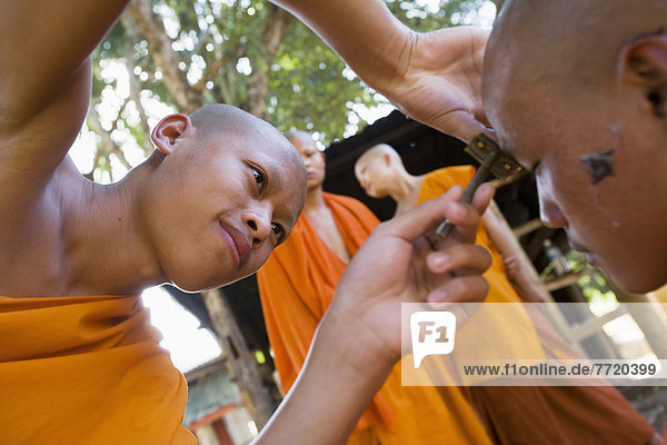 Novice Monks Having Their Heads Shaved At Wat Naluang  Luang Prabang  Northern Laos