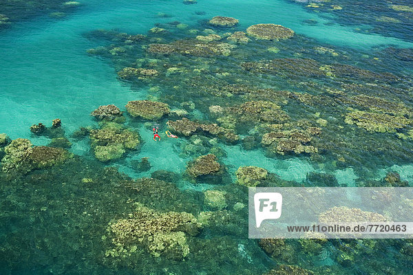 Hawaii  Maui  Aerial Of People Snorkeling In Ocean With Beautiful Coral Formations Off Olowalu.