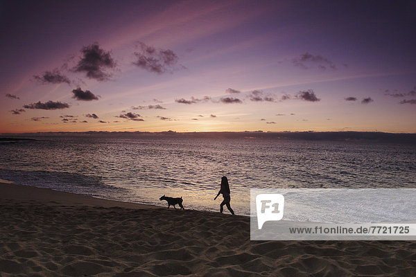 gehen  Strand  Sonnenuntergang  Silhouette  Hund  Mädchen  Hawaii  North Shore  Oahu