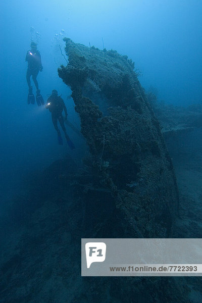 Micronesia  Palua  Scuba Divers Explore A Wreck.