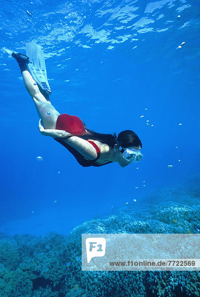 Hawaii  Big Island  Honaunau Bay  Female Free Diver  Underwater View