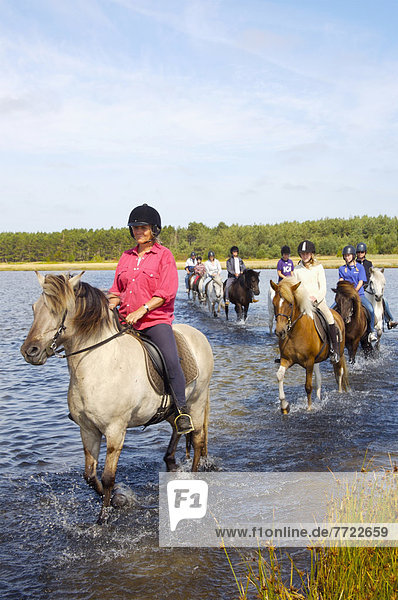 Recreational Horseback Riding