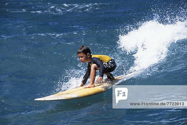 Junge - Person  gelb  Surfboard  Wellenreiten  surfen  jung  Hawaii  Oahu