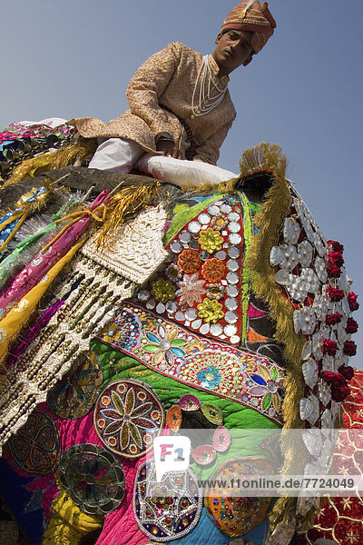 Winter  halten  Tag  Wand  Fest  festlich  Tourist  Tradition  Festival  Stadion  Indien  indische Abstammung  Inder  Anfang  Ende  Jaipur  März  alt
