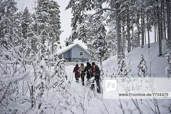 Rückansicht  Tourist  Ansicht  Finnland  Lappland  Schneeschuhlaufen
