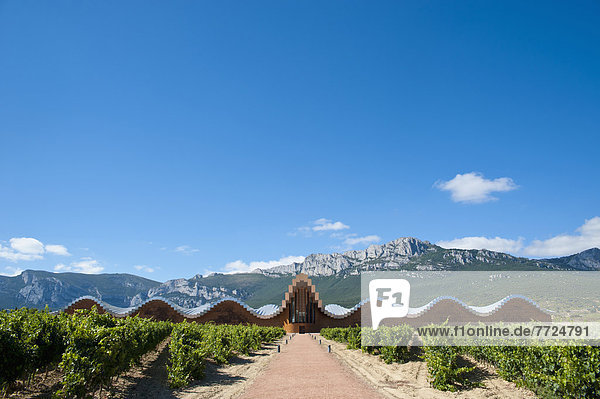 Ysios Winery Designed By Famous Spanish Architect Santiago Calatrava  Laguardia  Basque Country  Spain