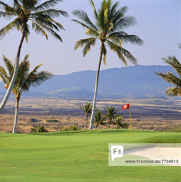 Hawaii  Big Island  grün  Fahne  Loch  Urlaub  Golfsport  Golf  Kurs  Hawaii
