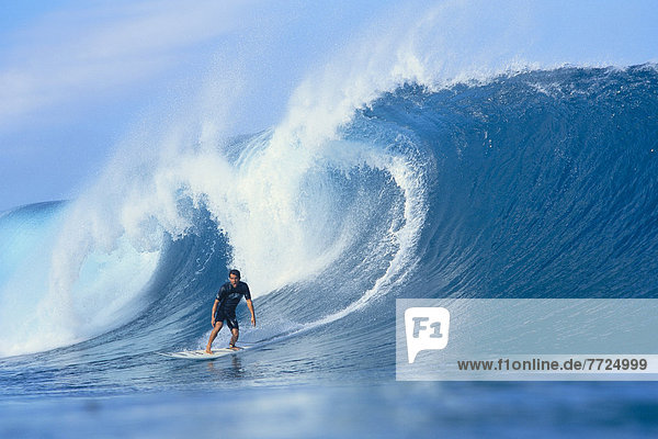 Curling  frontal  Blick in die Kamera  Hawaii  Wasserwelle  Welle