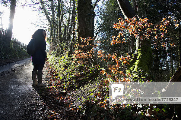 Evening Light Casting Long Shadows  As A Female Walker Ascends A Hill In Woodland Mid Devon  South West  Uk