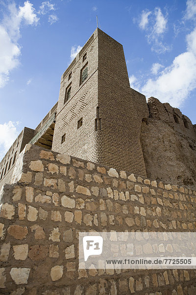 Mauer Mit Relief Ruinen Von Babylon Irak