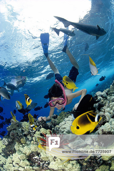 Hawaii  Maui  Boy Snorkeling Over Reef Scene With Fish  Girl Background At Surface Tropical D1353