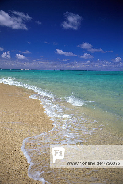 Schönheit  Strand  Ozean  Küste  türkis  Hawaii  Oahu