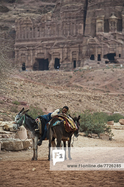 Esel  warten  fahren  Tourist  Naher Osten  Petra  mitfahren