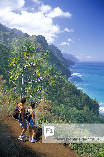 Landschaftlich schön  landschaftlich reizvoll  folgen  Küste  Ignoranz  wandern  Hawaii  Kauai