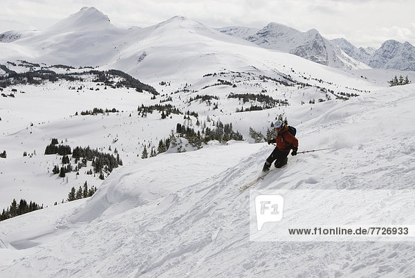 Telemark Skier At Sunshine Village Ski Resort In The Canadian Rockies  Banff  Alberta  Canada