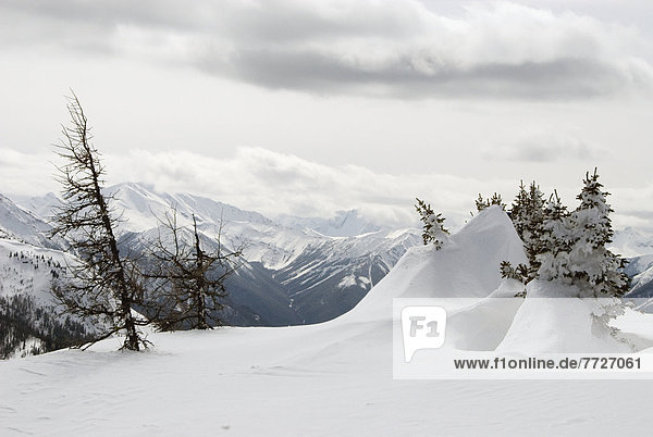 Sonnenstrahl  Winterurlaub  Urlaub  Ski  Rocky Mountains  Alberta  Banff  Kanada  kanadisch