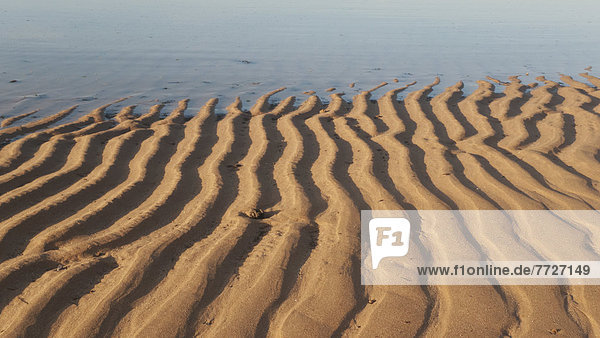 Muster  Strand  Sand  Afrika  Marokko