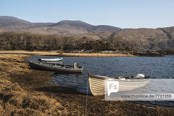 Fröhlichkeit  Großbritannien  See  Boot  Kerry County  Killarney Nationalpark  Irland
