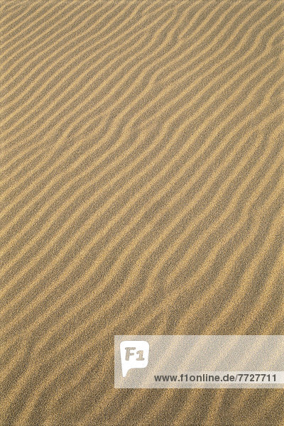 Oregon Dunes National Recreation Area  Sand Patterns  Wave Like
