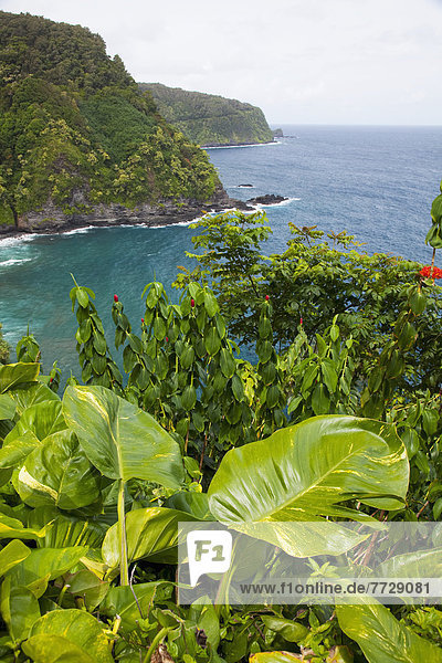 Tag  Wolke  Küste  grün  Überfluss  Ansicht  Hana  Hawaii  Maui