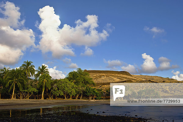 Hawaii  Big Island  Pu'ukohola Heiau National Park  Scenic View Of Land  Ocean And Palm Trees.
