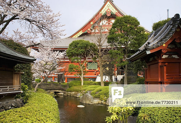 Japanese Temple Garden With Stream And Stone Bridge  Tokyo  Japan