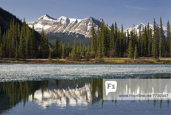 Berg  Himmel  Spiegelung  See  blau  bedecken  Alberta  Kanada  Schnee