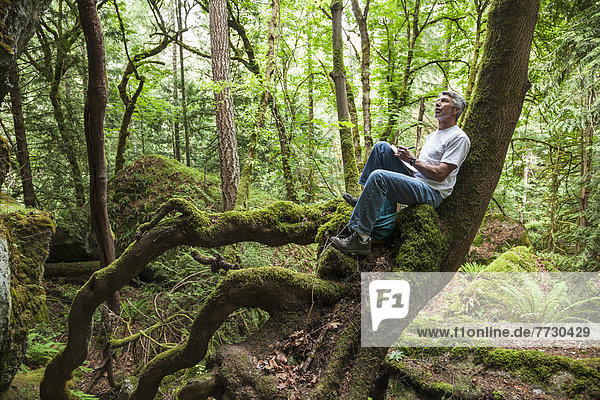 A Man Sits In A Tree And Draws Inspired By Nature In The Cowichan Valley On Vancouver Island  British Columbia Canada