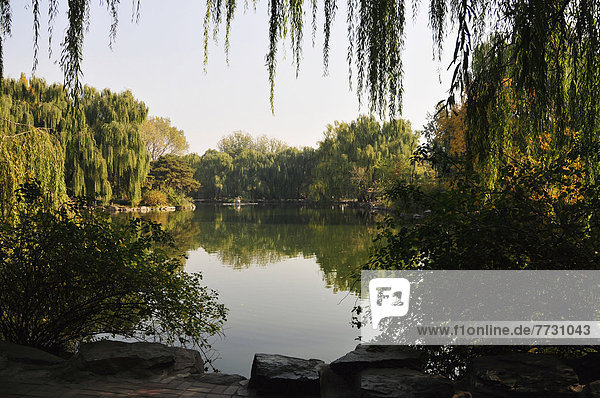 A Tranquil Pond With A Reflection Of Trees  Beijing China
